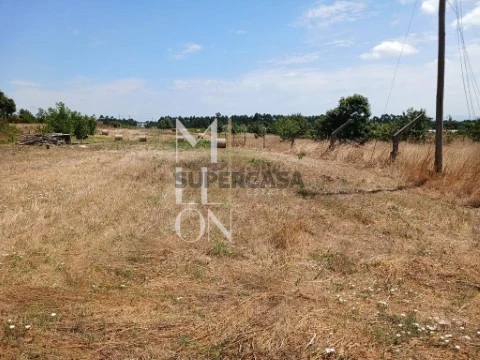 Terreno em Vagos, Vagos