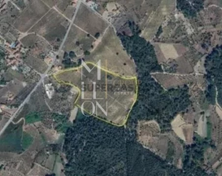 Terreno em Carvalhal Redondo e Aguieira, Nelas