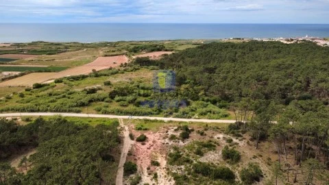 Terreno Rústico em Ferrel, Peniche