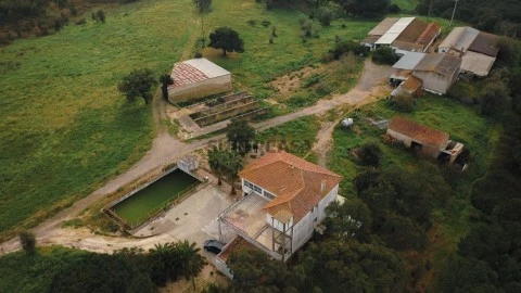 Quinta T7 em Cidade de Santarém, Santarém