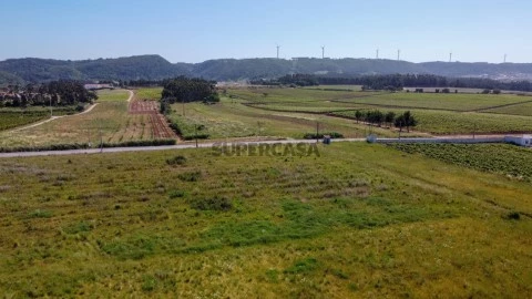 Terreno em Roliça, Bombarral