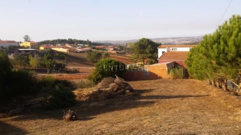 Arrecadação em Moita dos Ferreiros, Lourinhã