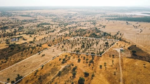 Propriedade rústica com potencial agrícola, habitacional e turístico - 3,12 hectares - Nisa
