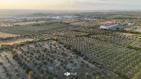 Terreno em Barbacena e Vila Fernando, Elvas