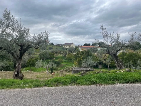 Grundstück auf Martinchel, Abrantes