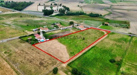 Terreno em Alpiarça, Alpiarça