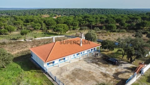 Boerderij 3 kamers Op Couço, Coruche