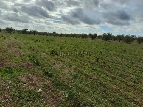 Terreno em Mourão, Mourão