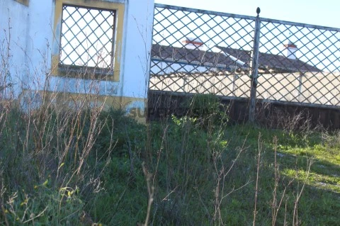 fotos são pedro 001