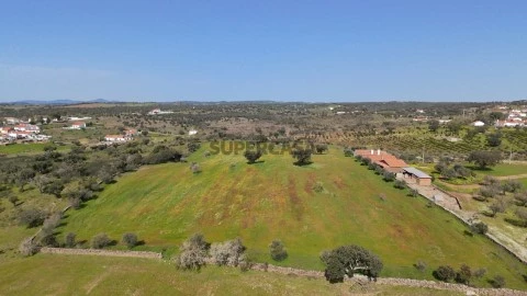 DJI_20260224114454_0138_D