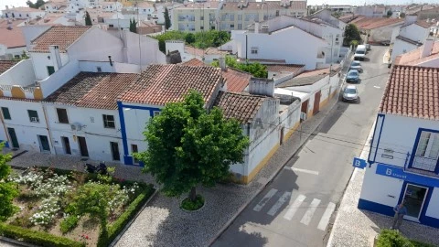 DJI_20260424110852_0177_D