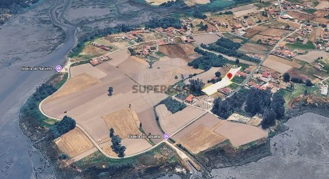 Terreno em Pardilhó, Estarreja