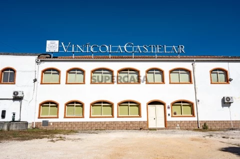VINÍCOLA CASTELAR-116