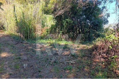 Venda de Terreno rústico com 8.124m2 na Cachouça, Barreiralva, Mafra