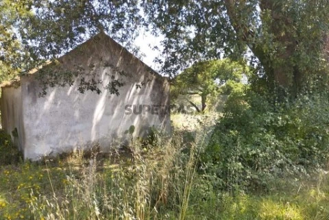 Venda de ruína e terreno com 2 hectares, em Jerumelo, Malveira