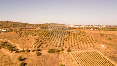 Terreno en Serpa (Salvador e Santa Maria), Serpa