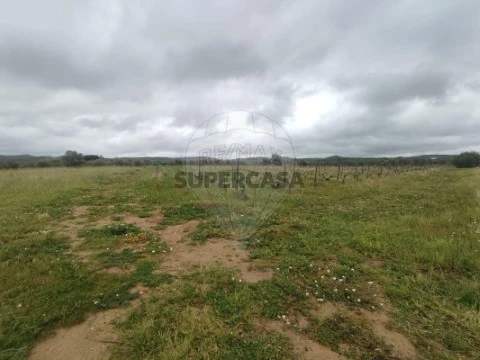 Terreno em Selmes, Vidigueira