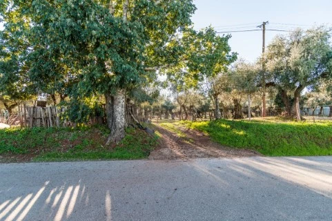 Terreno em Nossa Senhora da Conceição e São Bartolomeu, Vila Viçosa