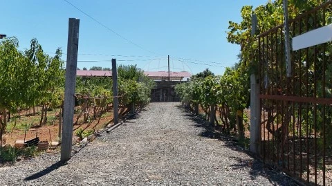Terreno em Serpa (Salvador e Santa Maria), Serpa