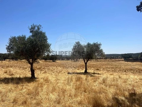 Quinta T0 em Sabugueiro, Arraiolos
