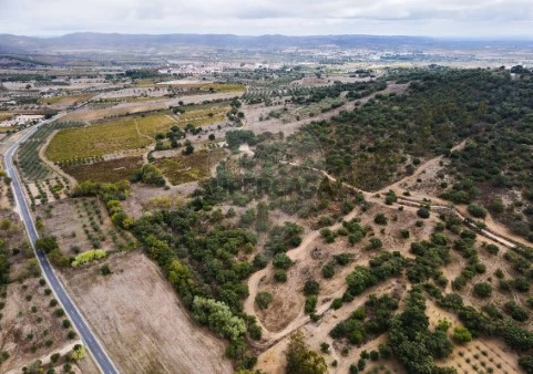 Terreno em Vila de Frades, Vidigueira