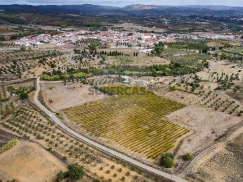 Terreno em Vila de Frades, Vidigueira