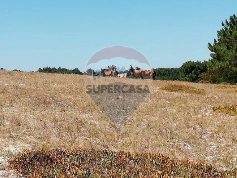 Terreno em Sines, Sines
