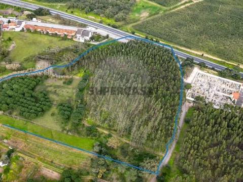 Terreno en Alcoentre, Azambuja