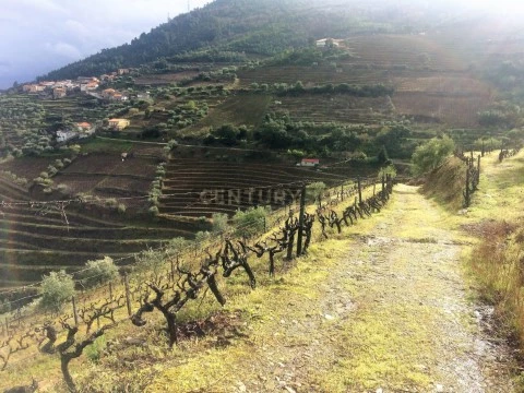 Terreno em Vila Seca e Santo Adrião, Armamar
