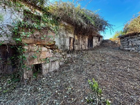 Terrein Op Abragão, Penafiel