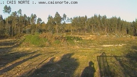 Lote em Valongo, Valongo
