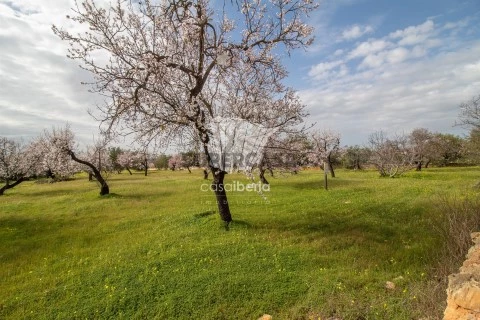 Terreno Venda em Conceição e Estoi,Faro