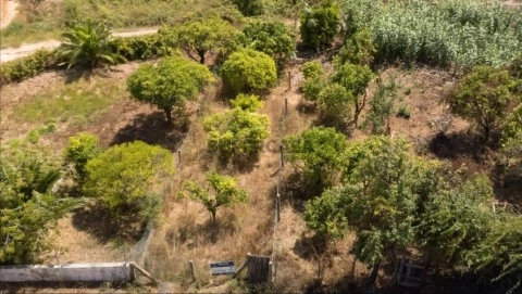 dji-20260810150602-0001-d