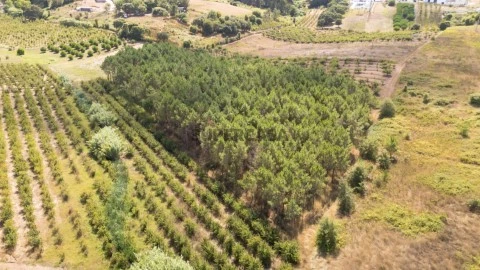 dji-20260810152338-0016-d