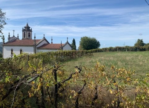 Terreno