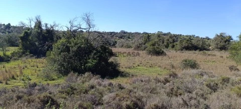 Terreno Rústico em EM1305, Santa Bárbara de Nexe, Faro