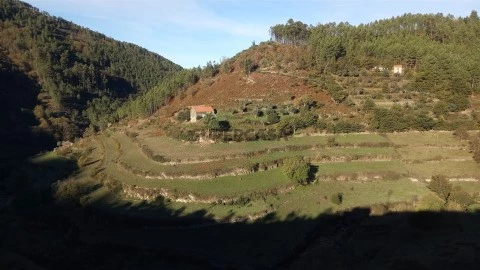 Quinta T0 em Loriga, Seia