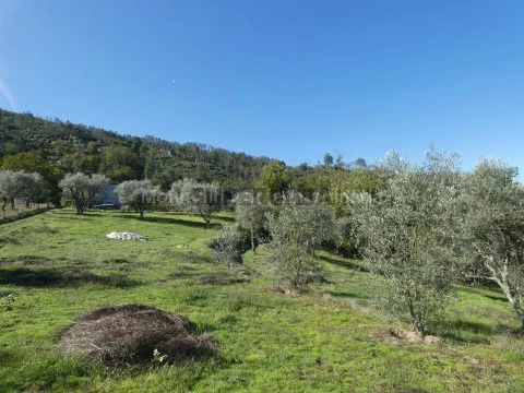Quinta T0 em Sandomil, Seia