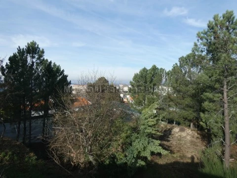 Terreno em São Romão, Seia