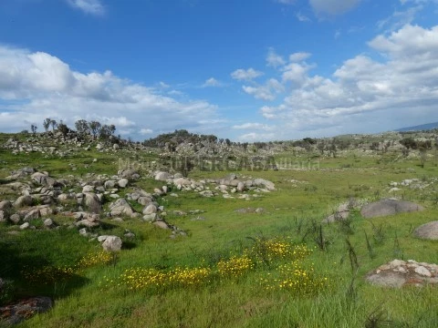 Quinta T0 em Abrunhosa-a-Velha, Mangualde