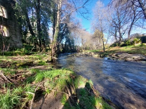 Terreno