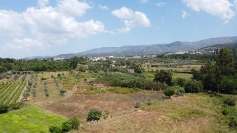 Terreno
