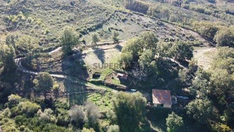 Terreno
