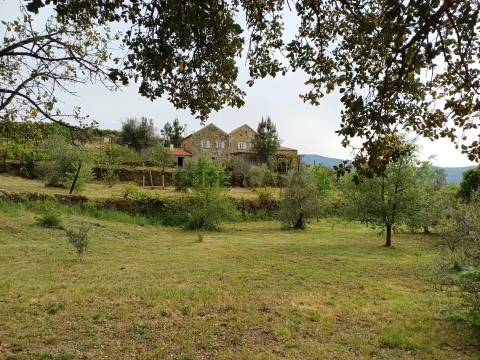 Terreno