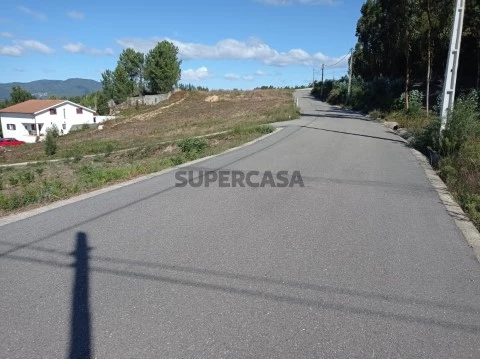 Vista 1