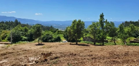 Terreno