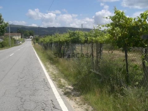 Terreno
