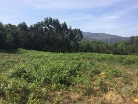 Terreno em Friestas, Valença