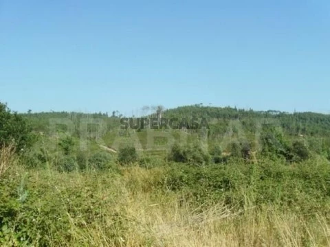 Terreno em Semide e Rio Vide, Miranda do Corvo