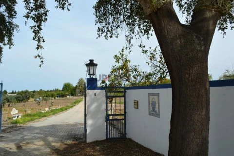 Quinta T12 em Santiago Maior e São João Baptista, Beja